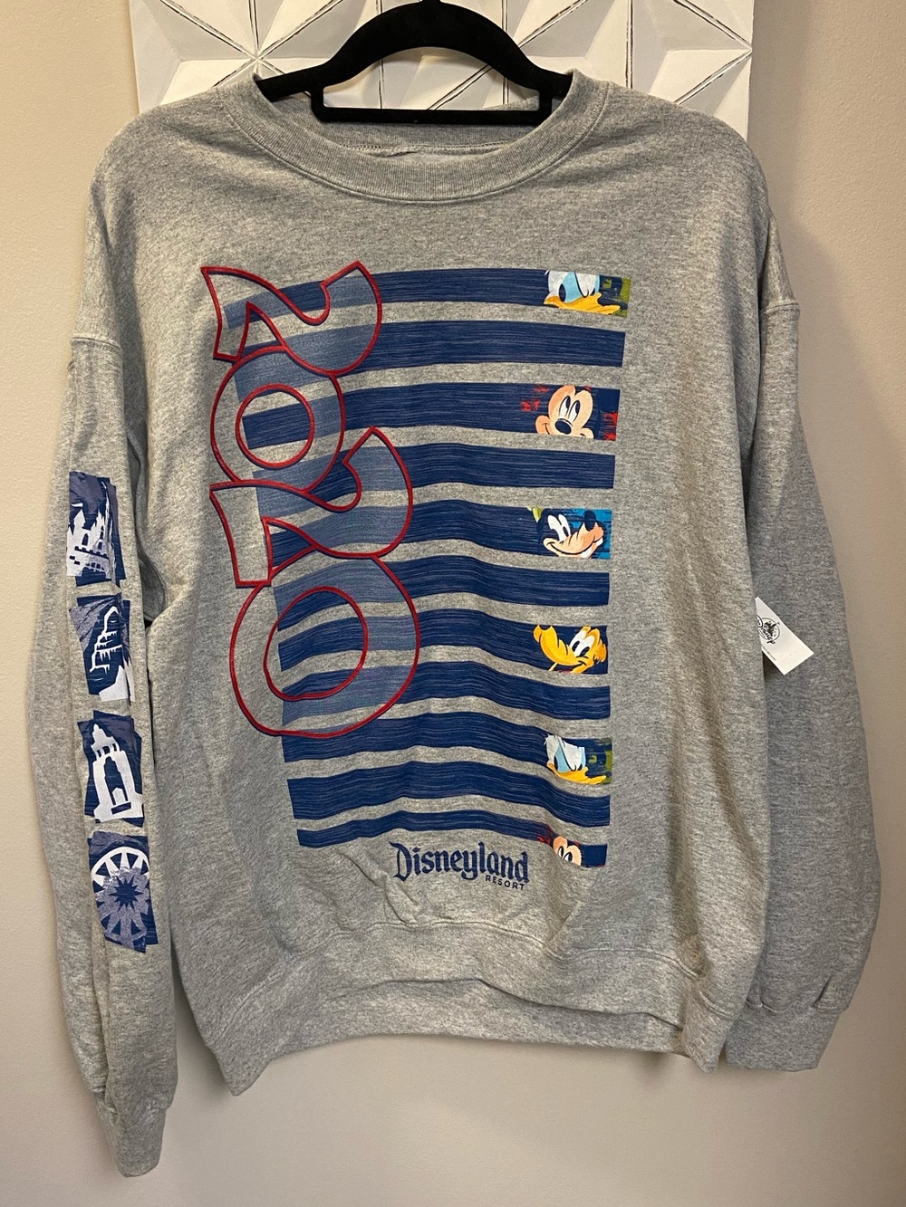 Disneyland 2020 Crewneck